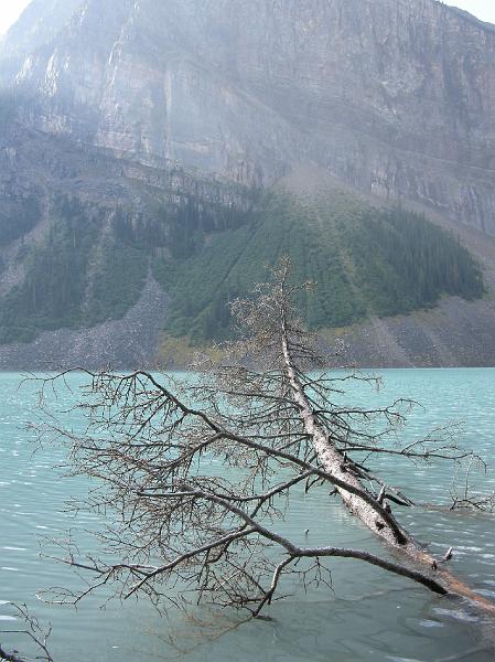 DSCN2097.JPG - Lake Louise